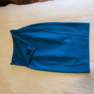 Express  Pencil Skirt